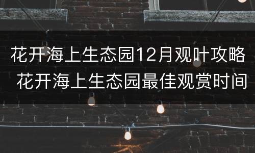 花开海上生态园12月观叶攻略 花开海上生态园最佳观赏时间
