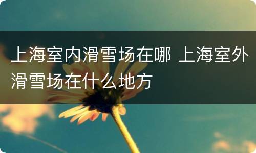 上海室内滑雪场在哪 上海室外滑雪场在什么地方