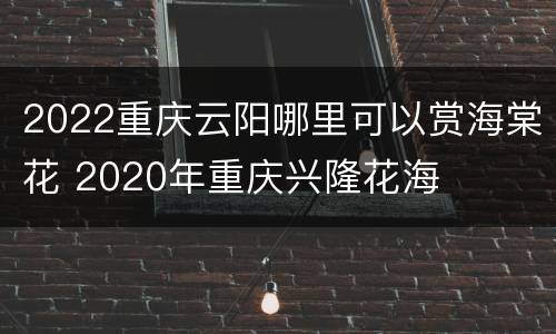2022重庆云阳哪里可以赏海棠花 2020年重庆兴隆花海