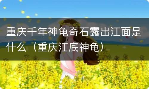 重庆千年神龟奇石露出江面是什么（重庆江底神龟）