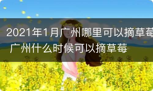 2021年1月广州哪里可以摘草莓 广州什么时候可以摘草莓