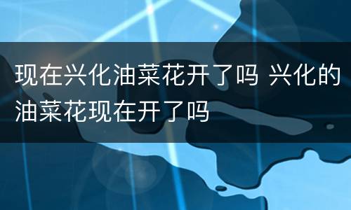 现在兴化油菜花开了吗 兴化的油菜花现在开了吗