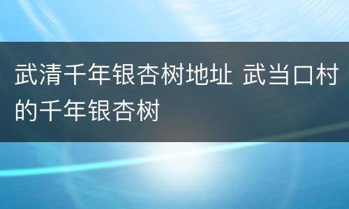 武清千年银杏树地址 武当口村的千年银杏树