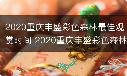 2020重庆丰盛彩色森林最佳观赏时间 2020重庆丰盛彩色森林最佳观赏时间是多少