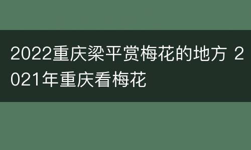 2022重庆梁平赏梅花的地方 2021年重庆看梅花