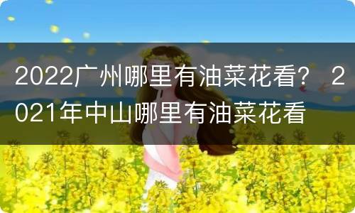 2022广州哪里有油菜花看？ 2021年中山哪里有油菜花看