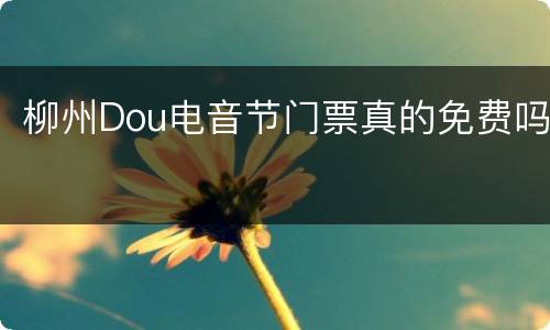 柳州Dou电音节门票真的免费吗