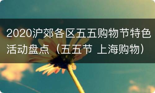 2020沪郊各区五五购物节特色活动盘点（五五节 上海购物）