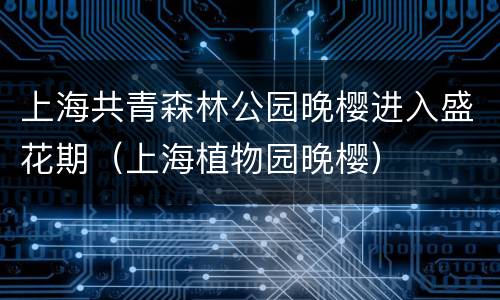 上海共青森林公园晚樱进入盛花期（上海植物园晚樱）