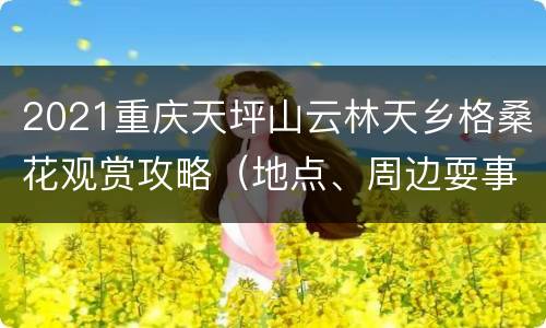 2021重庆天坪山云林天乡格桑花观赏攻略（地点、周边耍事）