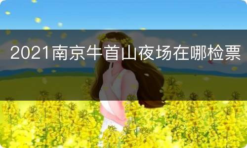 2021南京牛首山夜场在哪检票