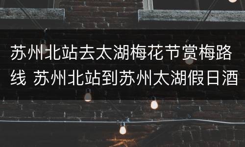 苏州北站去太湖梅花节赏梅路线 苏州北站到苏州太湖假日酒店多远