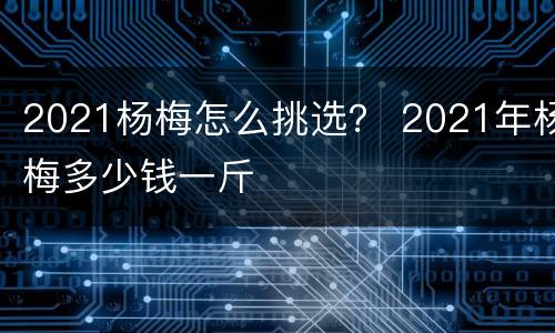 2021杨梅怎么挑选？ 2021年杨梅多少钱一斤