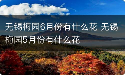 无锡梅园6月份有什么花 无锡梅园5月份有什么花