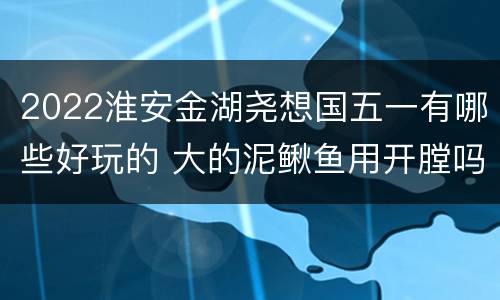 2022淮安金湖尧想国五一有哪些好玩的 大的泥鳅鱼用开膛吗