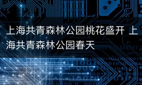 上海共青森林公园桃花盛开 上海共青森林公园春天