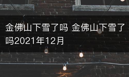金佛山下雪了吗 金佛山下雪了吗2021年12月