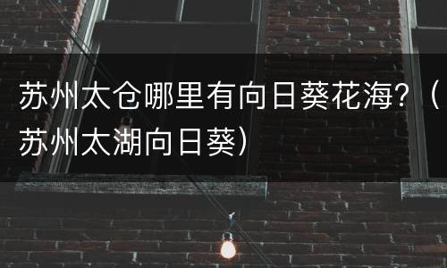 苏州太仓哪里有向日葵花海?（苏州太湖向日葵）