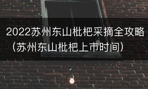 2022苏州东山枇杷采摘全攻略（苏州东山枇杷上市时间）