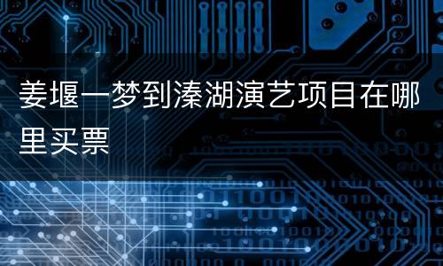 姜堰一梦到溱湖演艺项目在哪里买票
