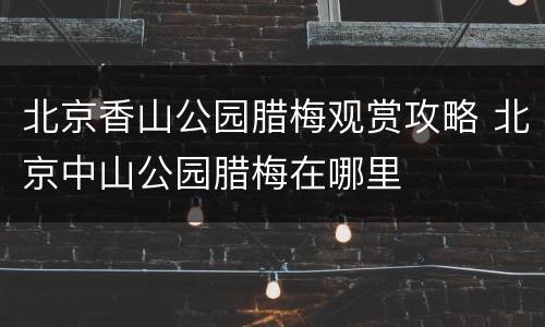 北京香山公园腊梅观赏攻略 北京中山公园腊梅在哪里