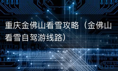 重庆金佛山看雪攻略（金佛山看雪自驾游线路）