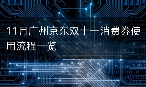 11月广州京东双十一消费券使用流程一览