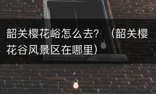 韶关樱花峪怎么去？（韶关樱花谷风景区在哪里）