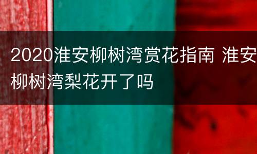 2020淮安柳树湾赏花指南 淮安柳树湾梨花开了吗