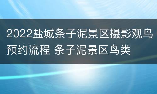 2022盐城条子泥景区摄影观鸟预约流程 条子泥景区鸟类