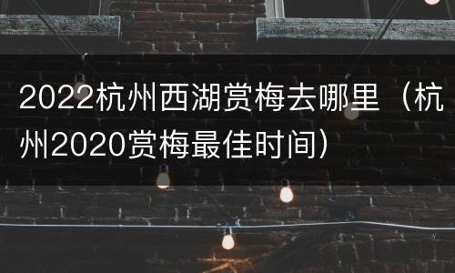 2022杭州西湖赏梅去哪里（杭州2020赏梅最佳时间）