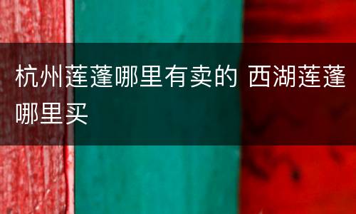 杭州莲蓬哪里有卖的 西湖莲蓬哪里买