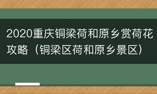 2020重庆铜梁荷和原乡赏荷花攻略（铜梁区荷和原乡景区）