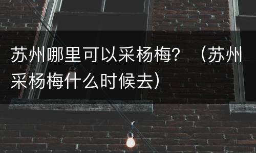 苏州哪里可以采杨梅？（苏州采杨梅什么时候去）