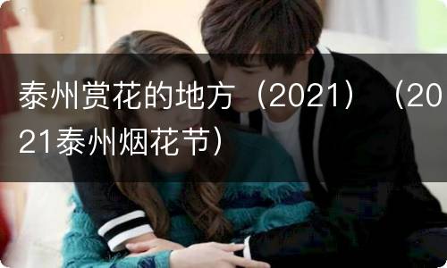 泰州赏花的地方（2021）（2021泰州烟花节）