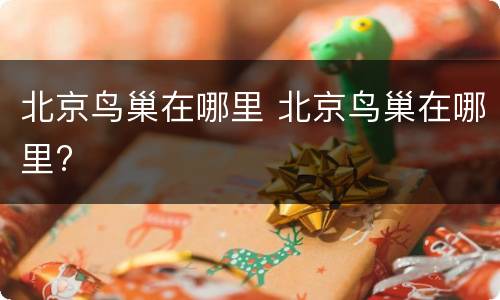 北京鸟巢在哪里 北京鸟巢在哪里?