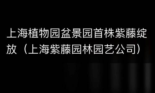 上海植物园盆景园首株紫藤绽放（上海紫藤园林园艺公司）