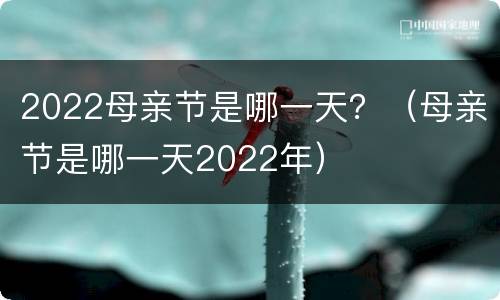 2022母亲节是哪一天？（母亲节是哪一天2022年）