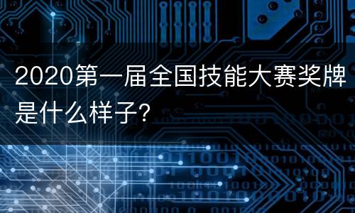 2020第一届全国技能大赛奖牌是什么样子？