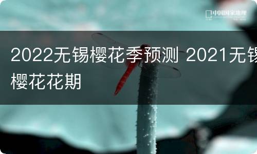 2022无锡樱花季预测 2021无锡樱花花期