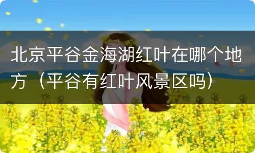 北京平谷金海湖红叶在哪个地方（平谷有红叶风景区吗）