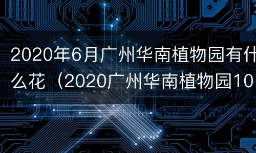 2020年6月广州华南植物园有什么花（2020广州华南植物园10月）