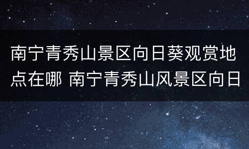 南宁青秀山景区向日葵观赏地点在哪 南宁青秀山风景区向日葵