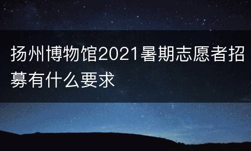 扬州博物馆2021暑期志愿者招募有什么要求