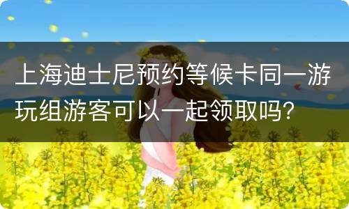 上海迪士尼预约等候卡同一游玩组游客可以一起领取吗？