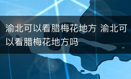 渝北可以看腊梅花地方 渝北可以看腊梅花地方吗