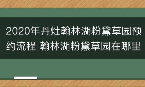 2020年丹灶翰林湖粉黛草园预约流程 翰林湖粉黛草园在哪里