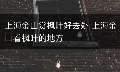 上海金山赏枫叶好去处 上海金山看枫叶的地方