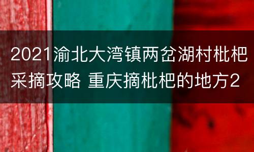 2021渝北大湾镇两岔湖村枇杷采摘攻略 重庆摘枇杷的地方2021
