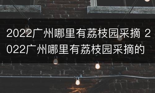2022广州哪里有荔枝园采摘 2022广州哪里有荔枝园采摘的